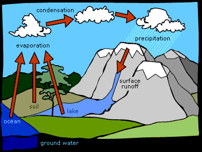 The Water Cycle.gif