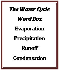 Text Box: The Water Cycle  Word Box  Evaporation  Precipitation  Runoff  Condensation